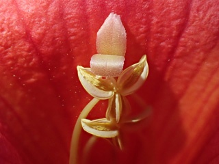 PB101064a.jpg